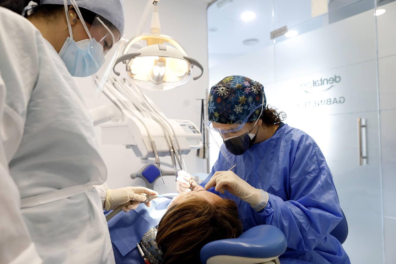 El día a día de los dentistas de Córdoba, en imágenes