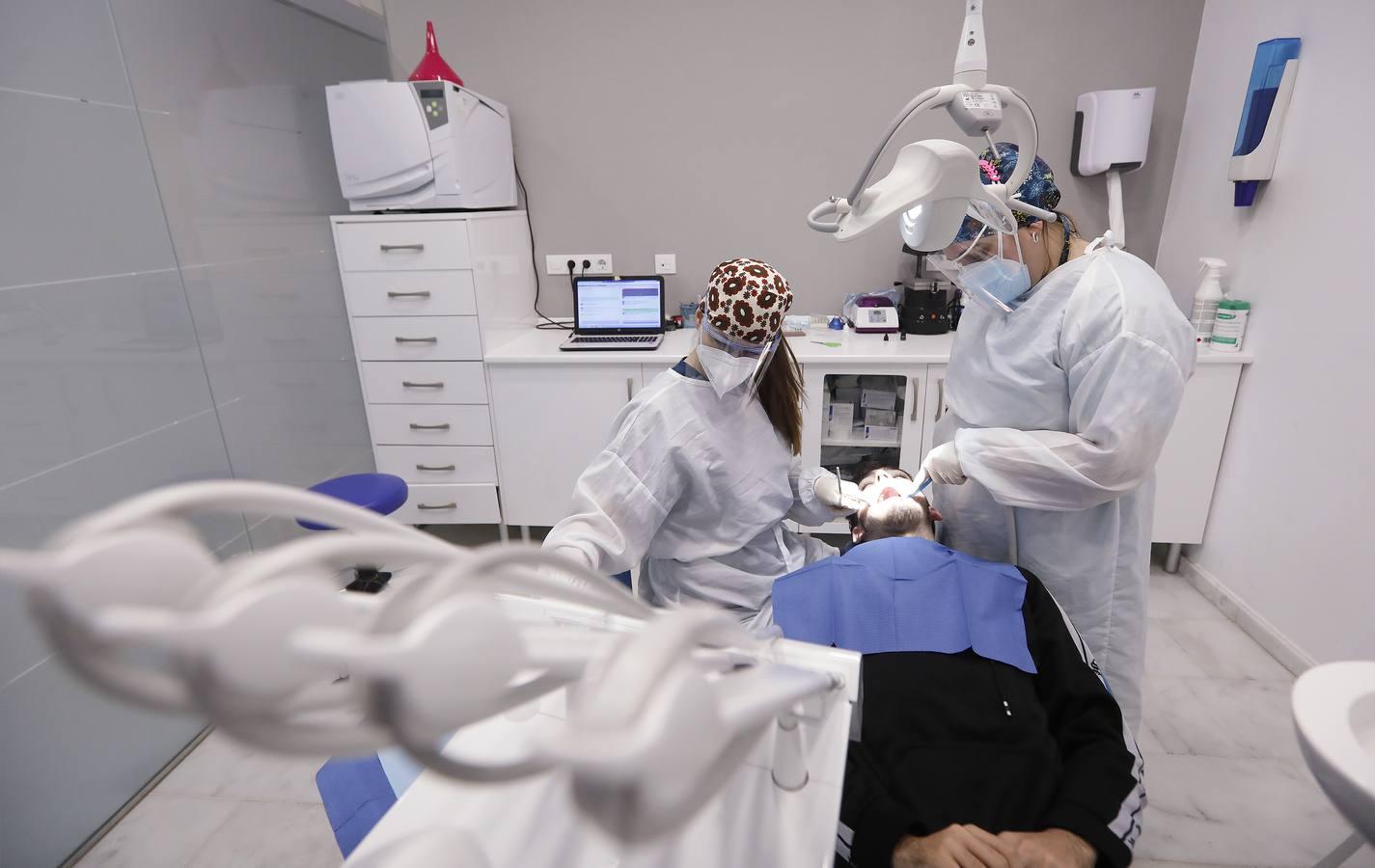 El día a día de los dentistas de Córdoba, en imágenes