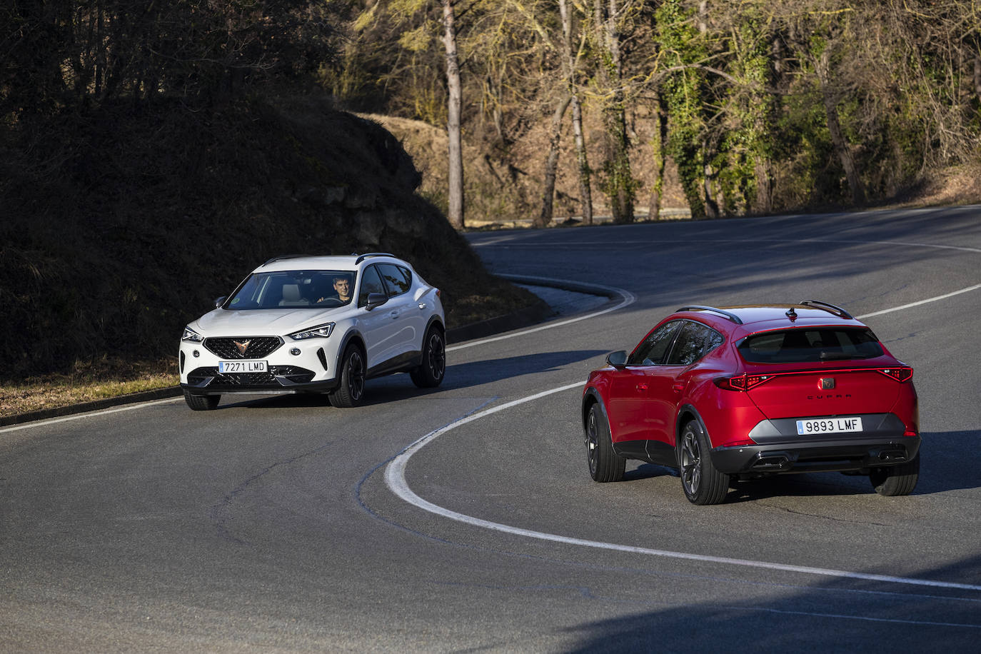 Fotogalería: así es el Cupra Formentor más barato