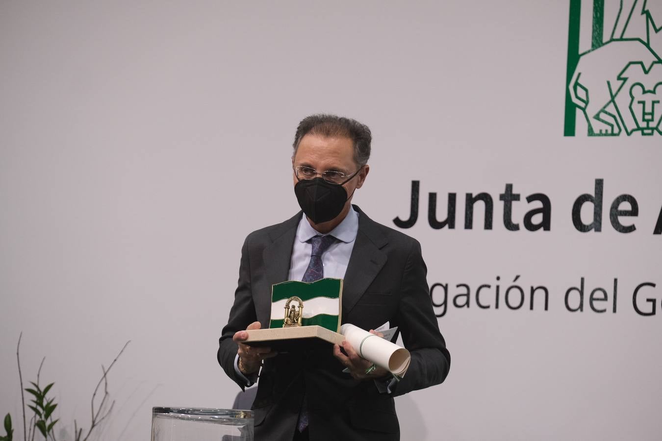 Fotos: La entrega de las banderas de Andalucía, en imágenes