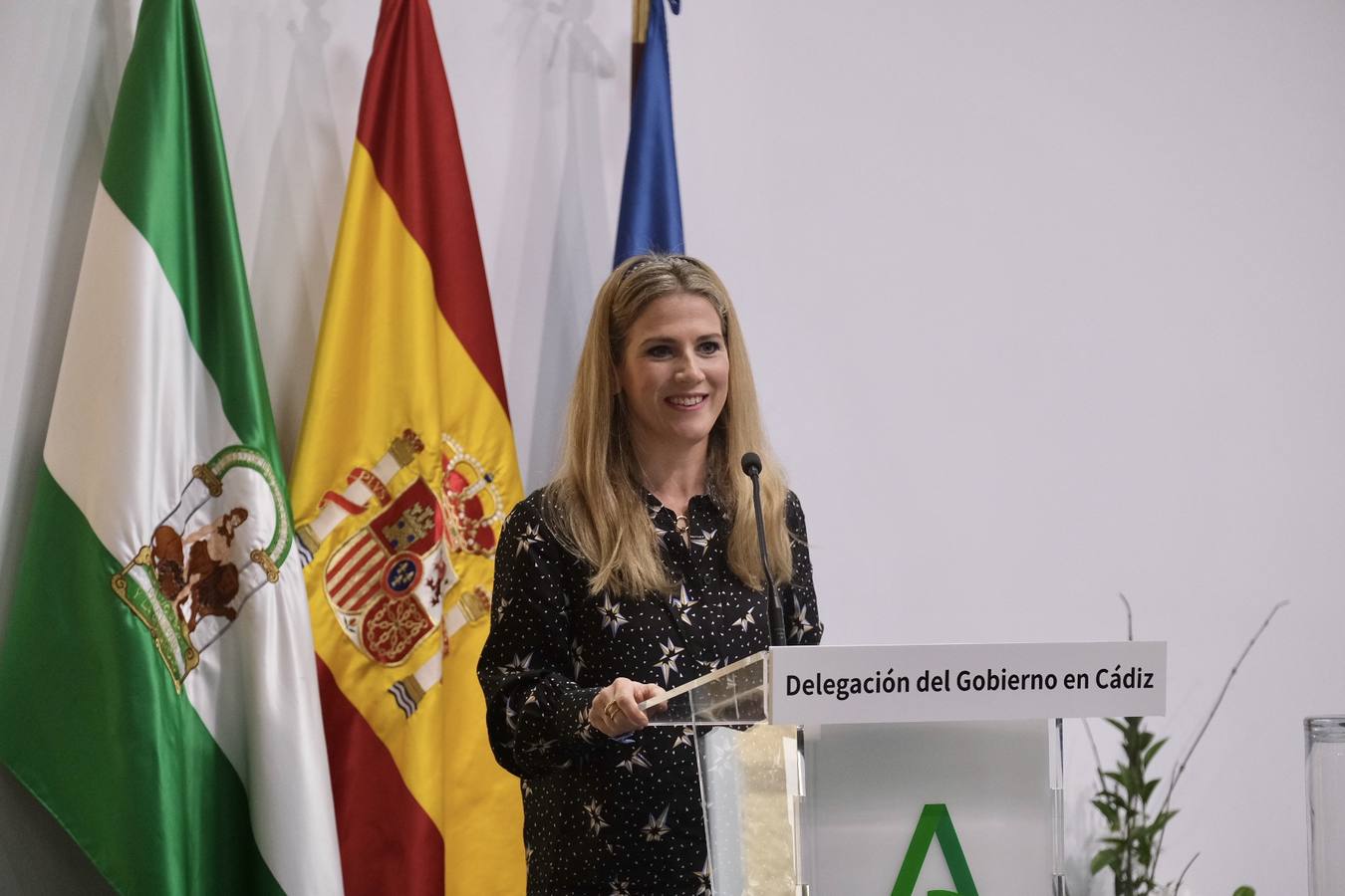 Fotos: La entrega de las banderas de Andalucía, en imágenes