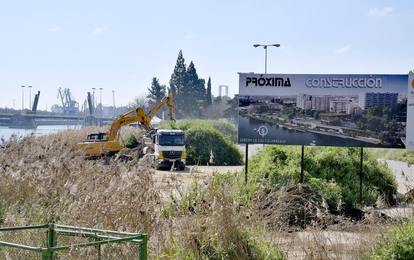 Comienzan las obras del Jardín de las Cigarreras en el barrio de Los Remedios de Sevilla