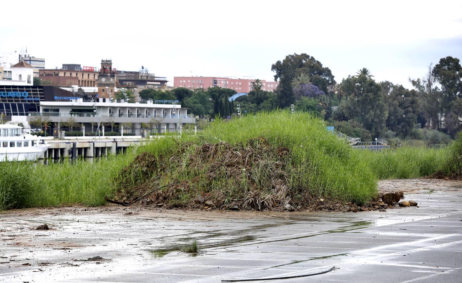 Comienzan las obras del Jardín de las Cigarreras y del quiosco de las Delicias