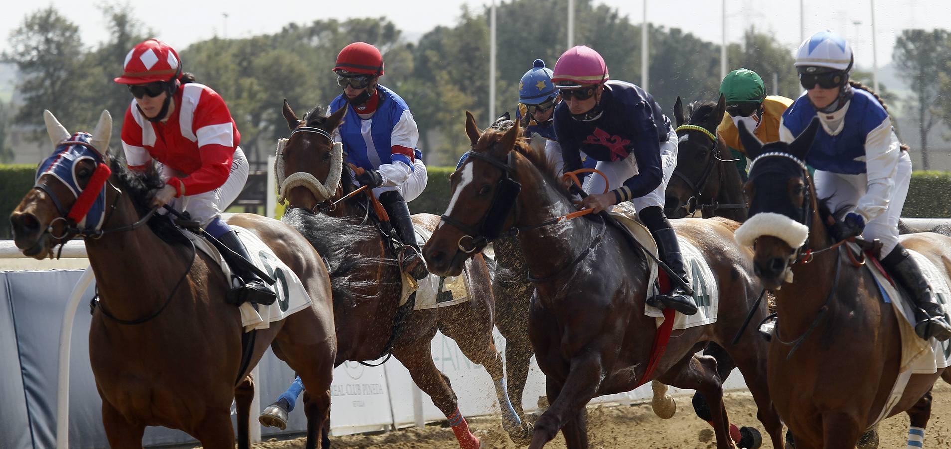 Las carreras de caballos vuelven a Pineda en el Día de Andalucía