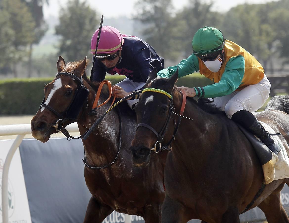 Las carreras de caballos vuelven a Pineda en el Día de Andalucía