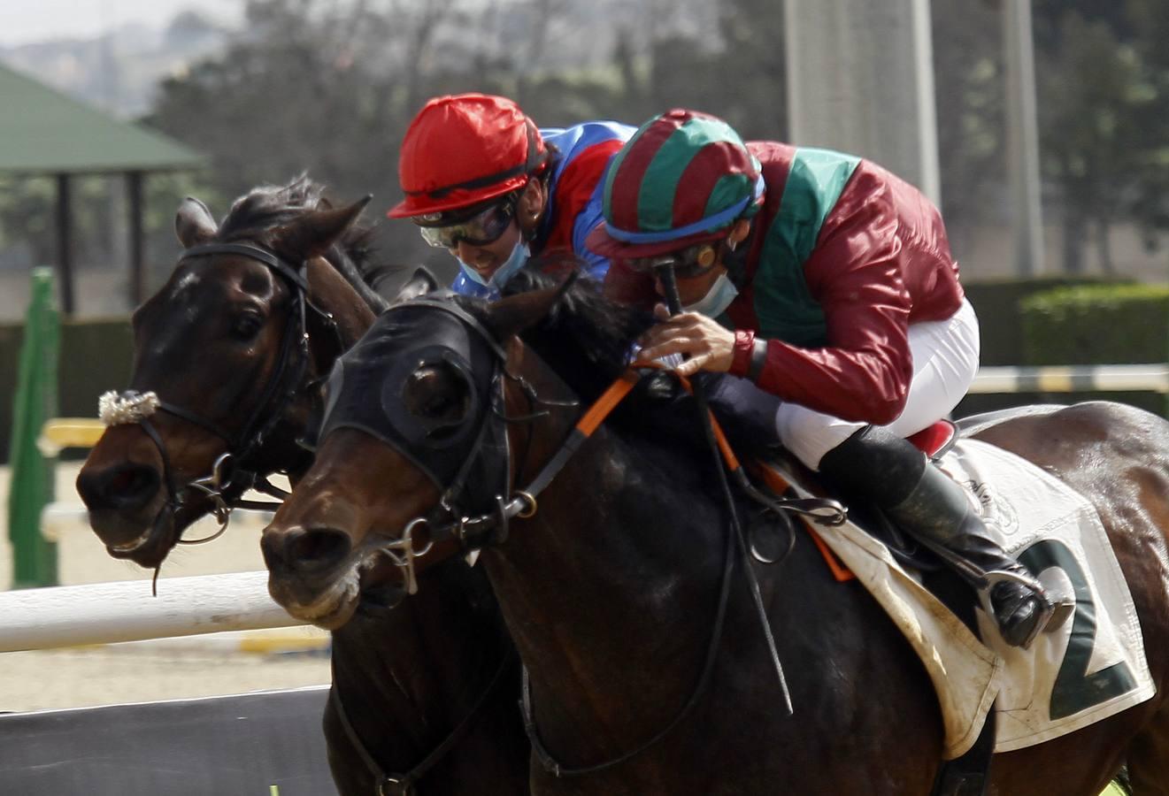Las carreras de caballos vuelven a Pineda en el Día de Andalucía