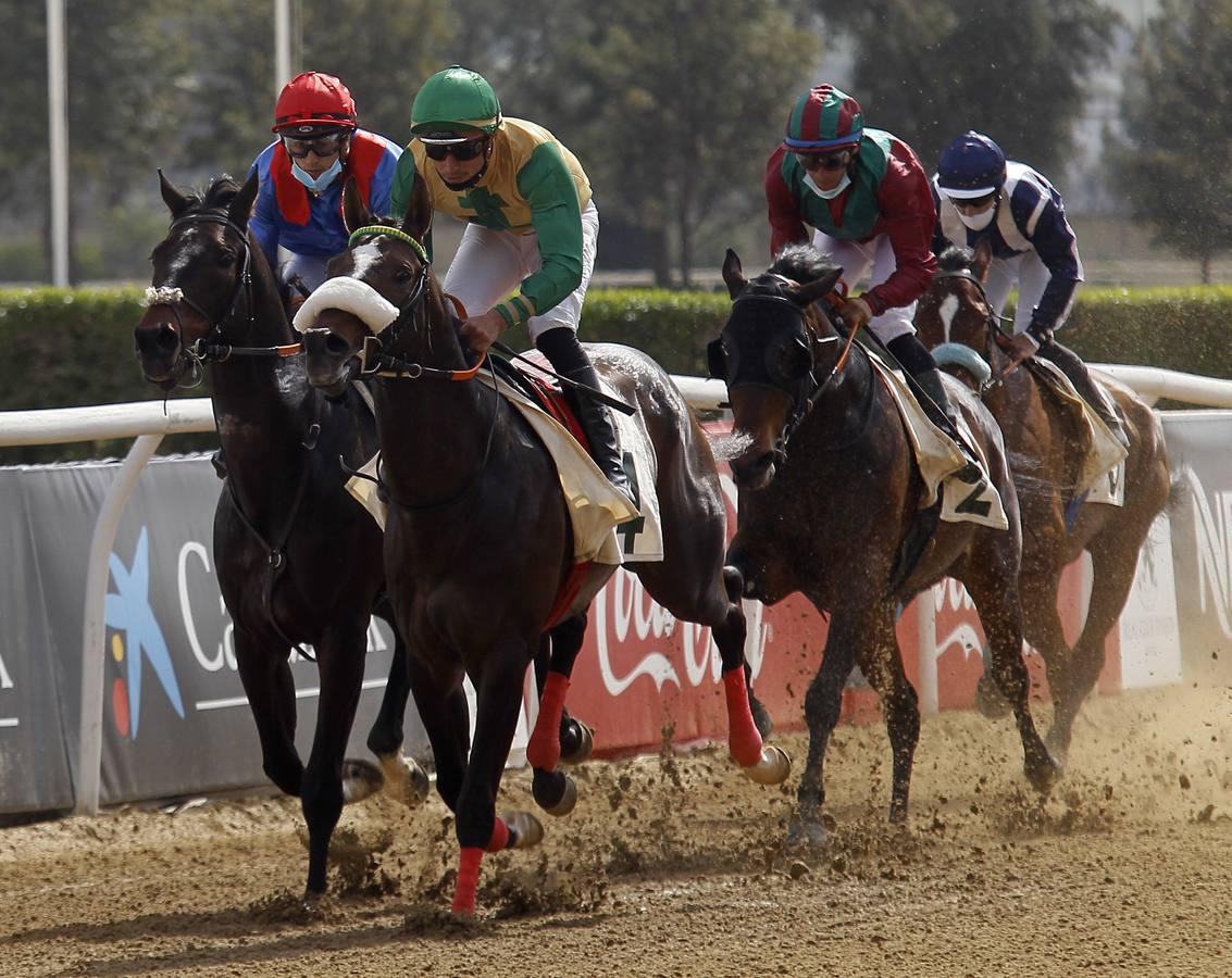 Las carreras de caballos vuelven a Pineda en el Día de Andalucía