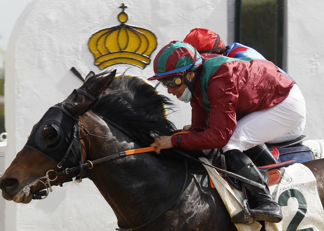 Las carreras de caballos vuelven a Pineda en el Día de Andalucía