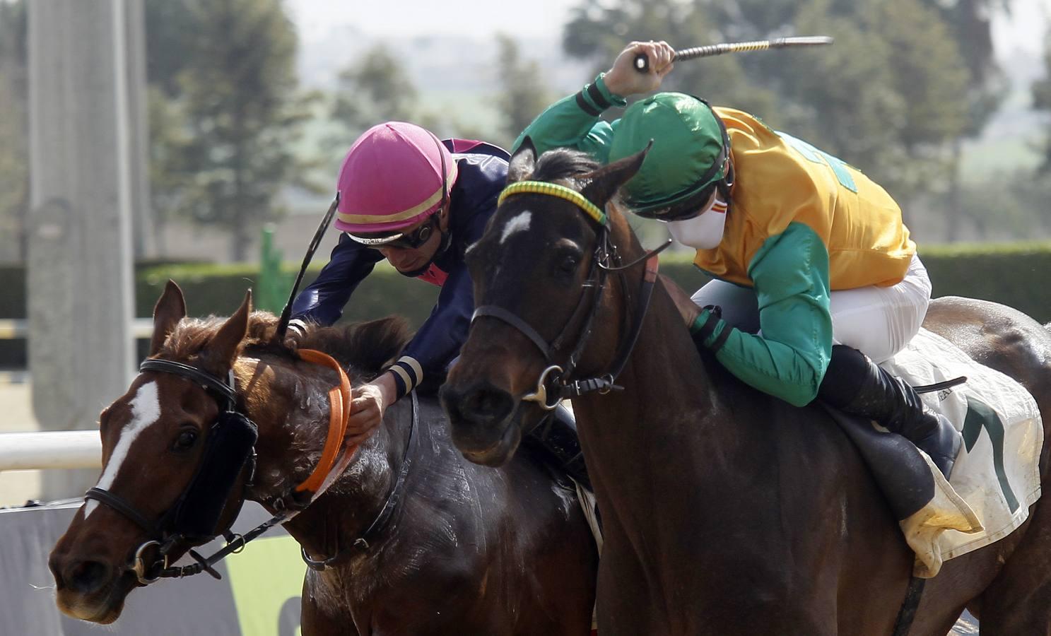 Las carreras de caballos vuelven a Pineda en el Día de Andalucía