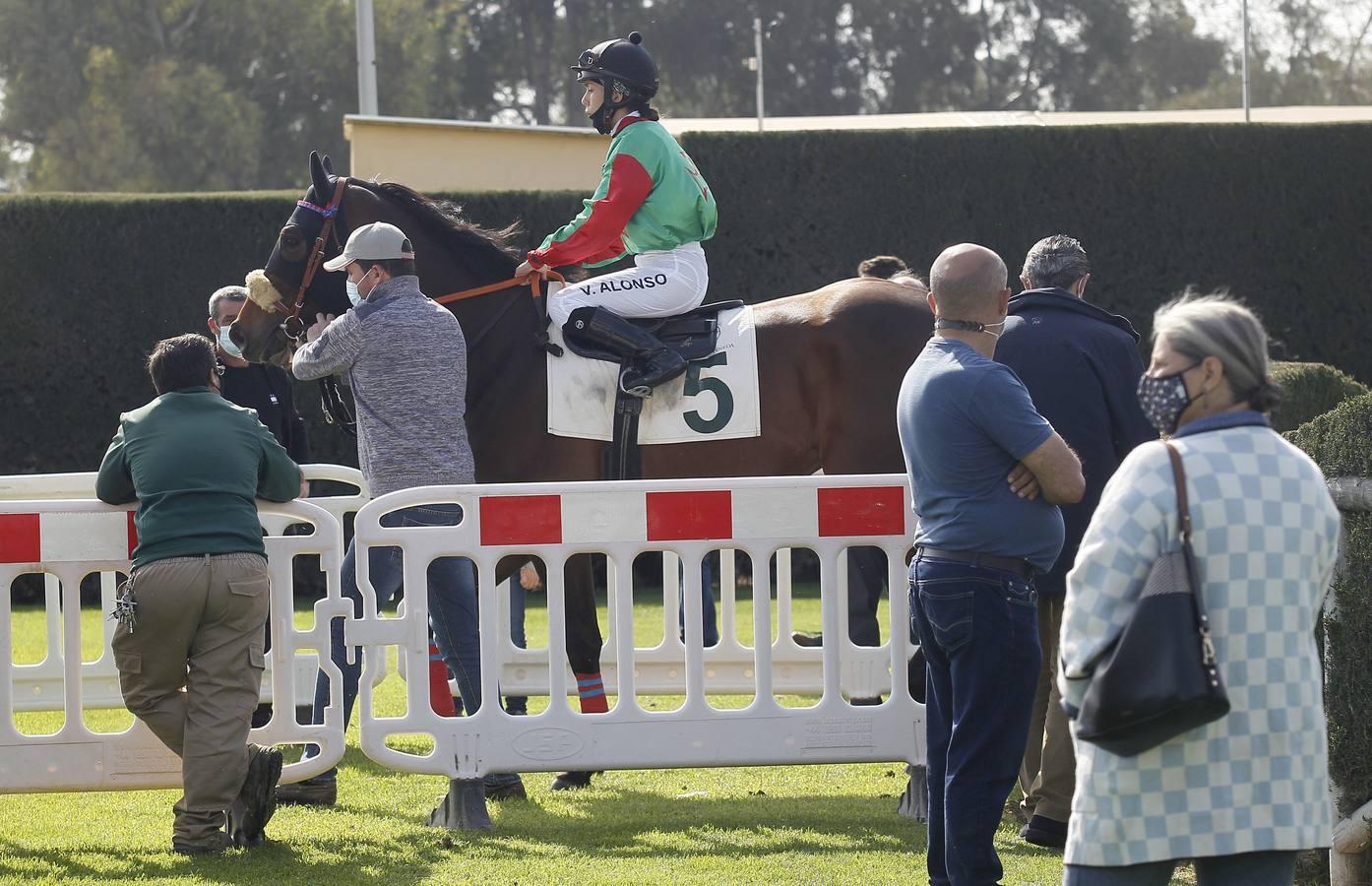 Las carreras de caballos vuelven a Pineda en el Día de Andalucía