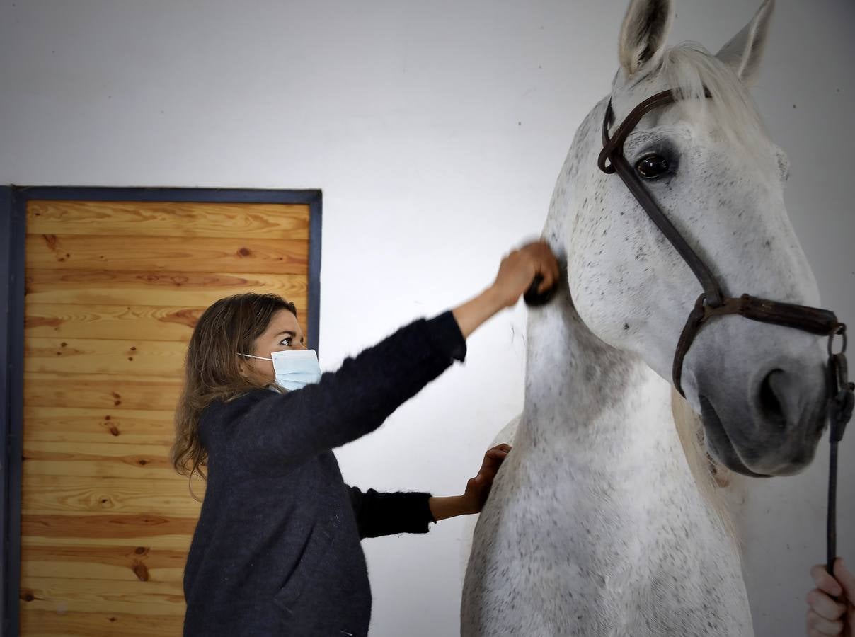 Fotogalería: Un día de Lea Vicens entre caballos