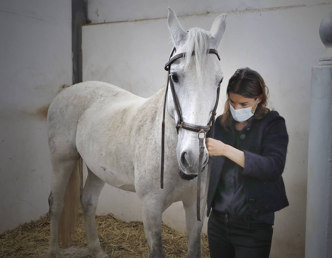 Fotogalería: Un día de Lea Vicens entre caballos