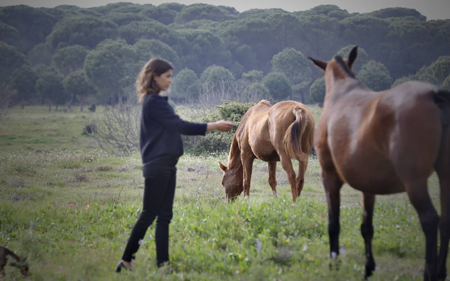 Fotogalería: Un día de Lea Vicens entre caballos