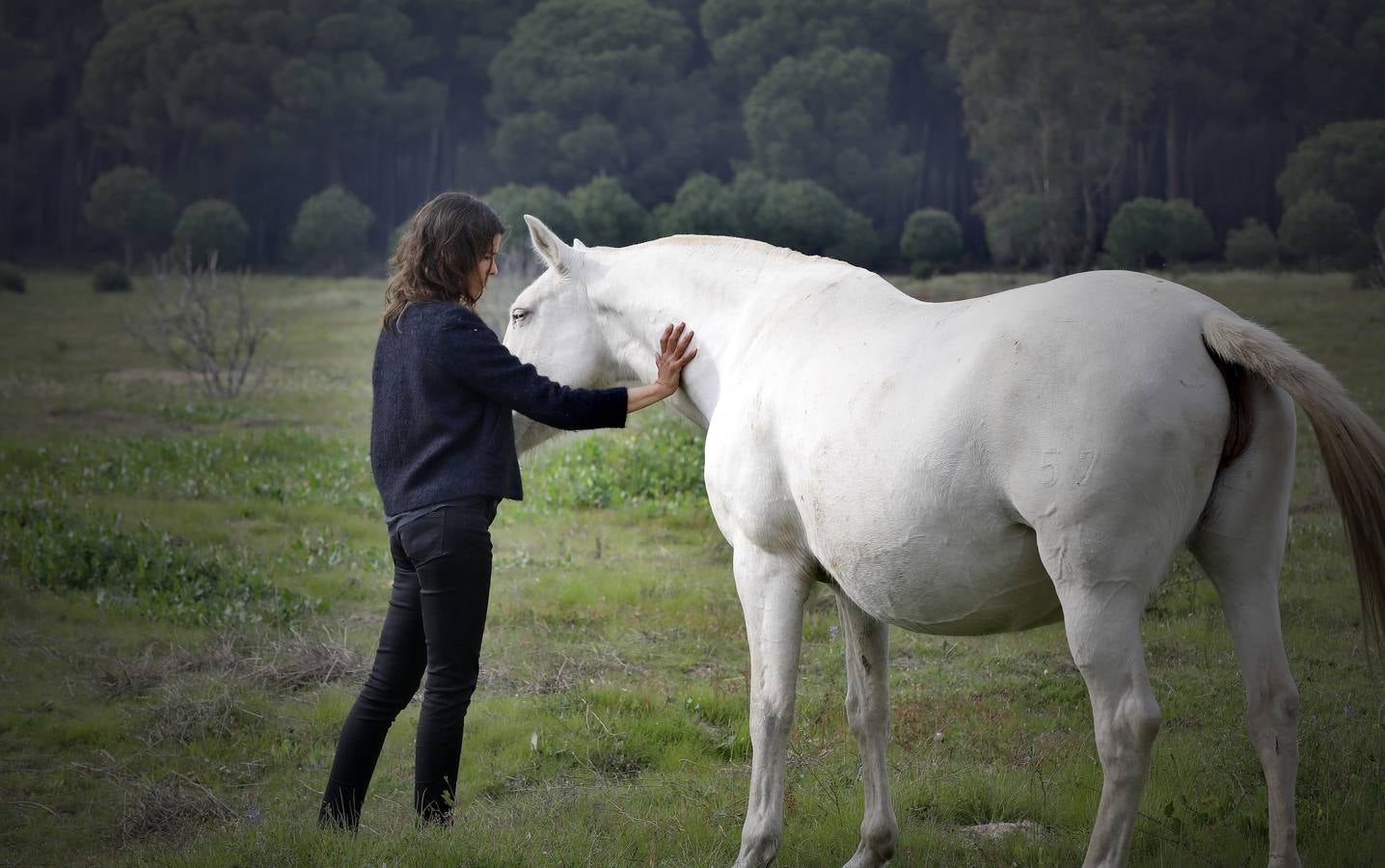 Fotogalería: Un día de Lea Vicens entre caballos