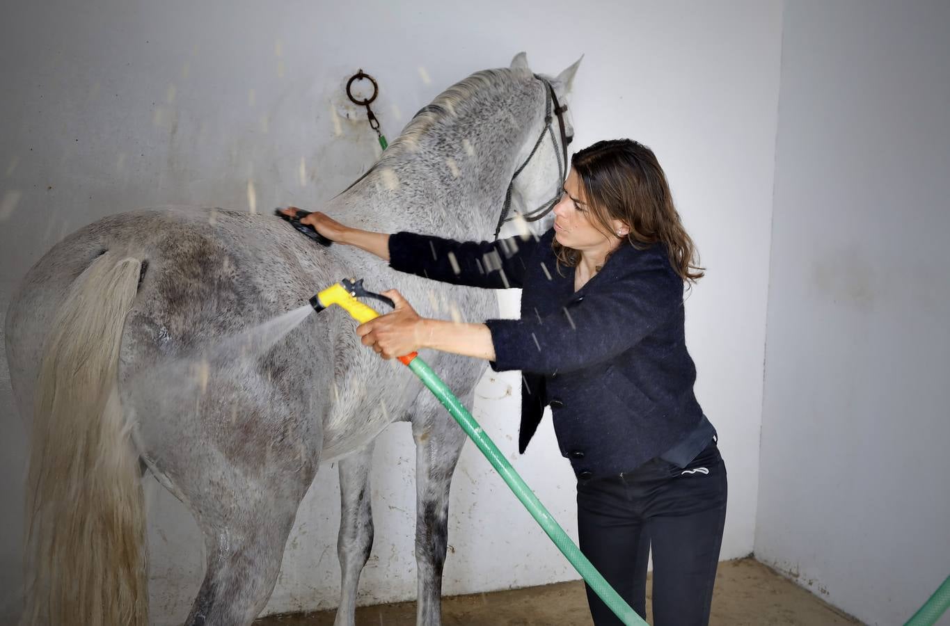 Fotogalería: Un día de Lea Vicens entre caballos