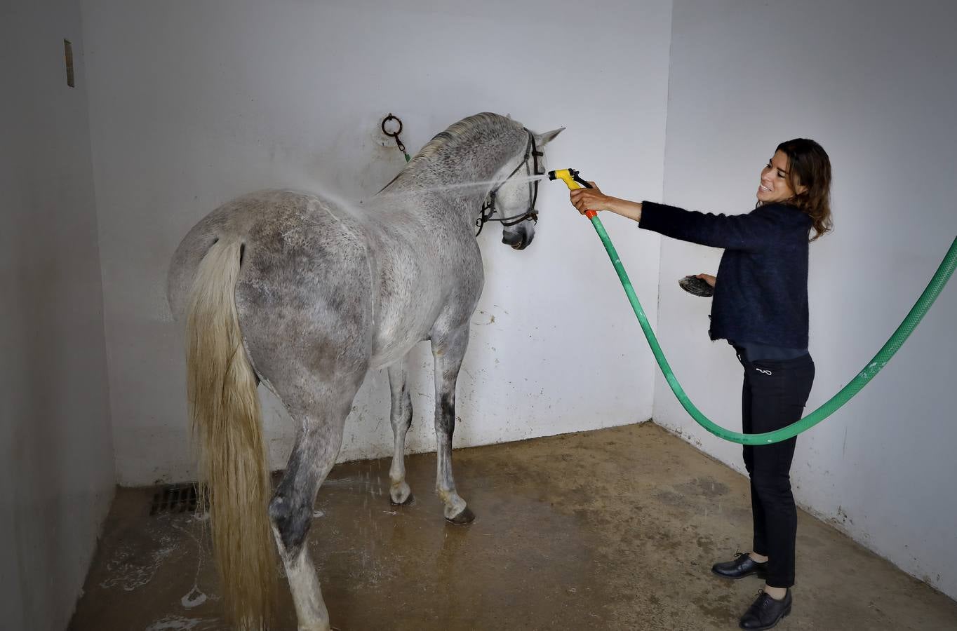 Fotogalería: Un día de Lea Vicens entre caballos