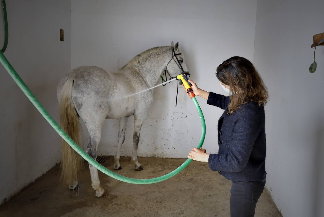 Fotogalería: Un día de Lea Vicens entre caballos