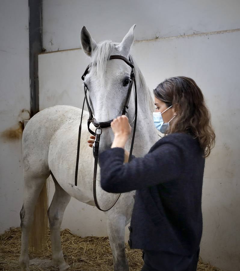 Fotogalería: Un día de Lea Vicens entre caballos