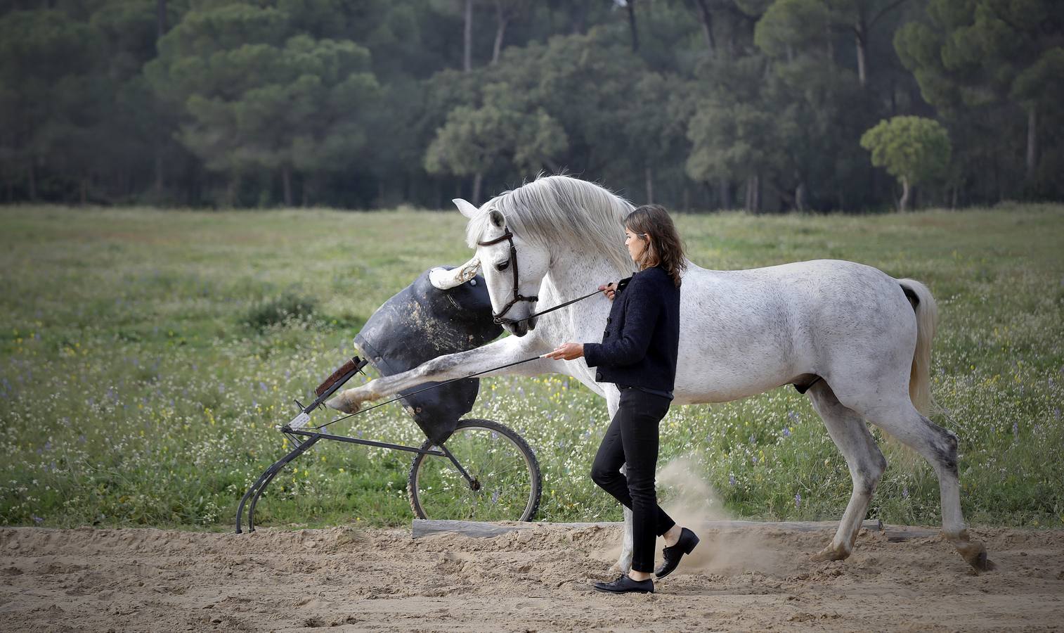 Fotogalería: Un día de Lea Vicens entre caballos