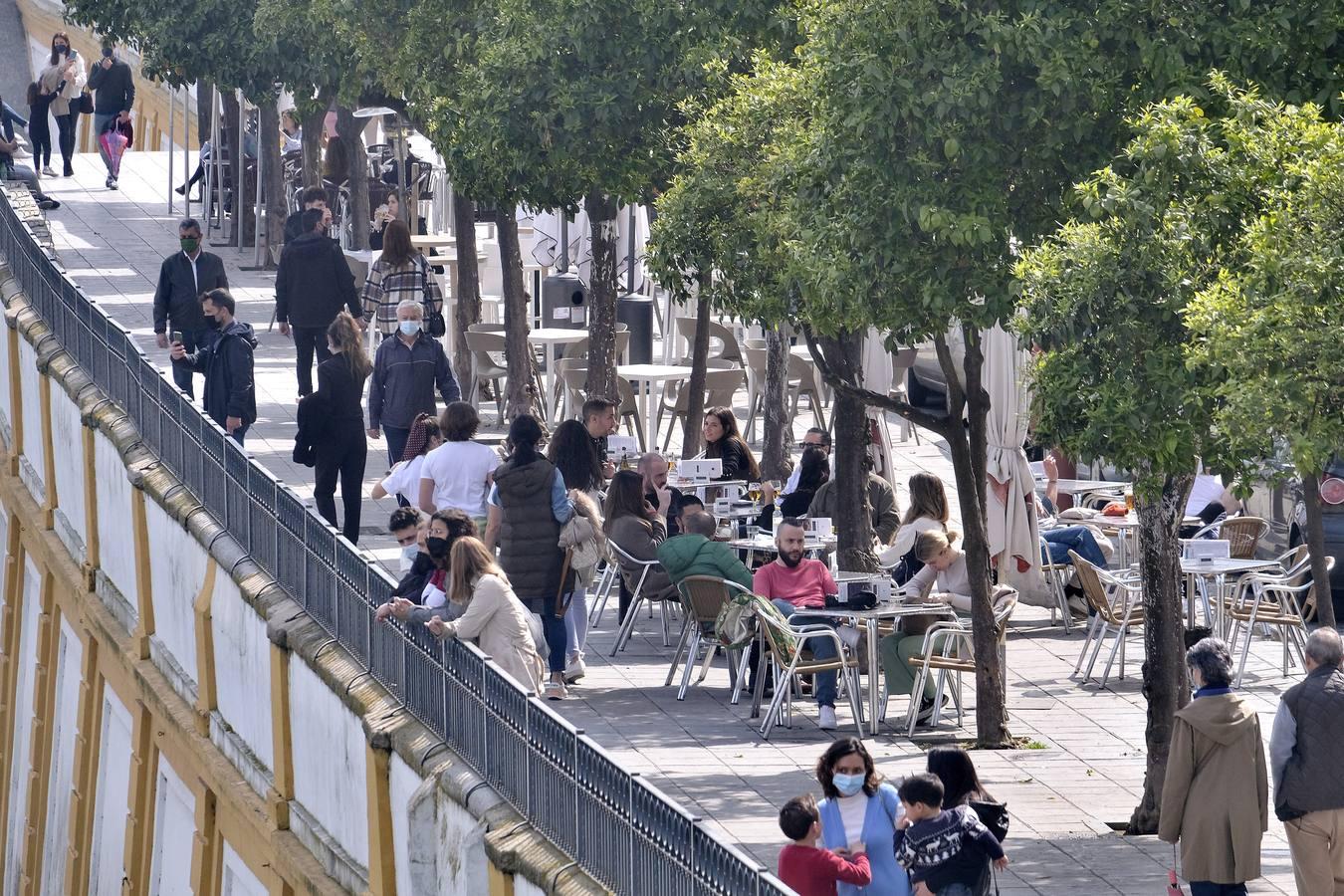 En imágenes, ambiente de domingo en las calles de Sevilla