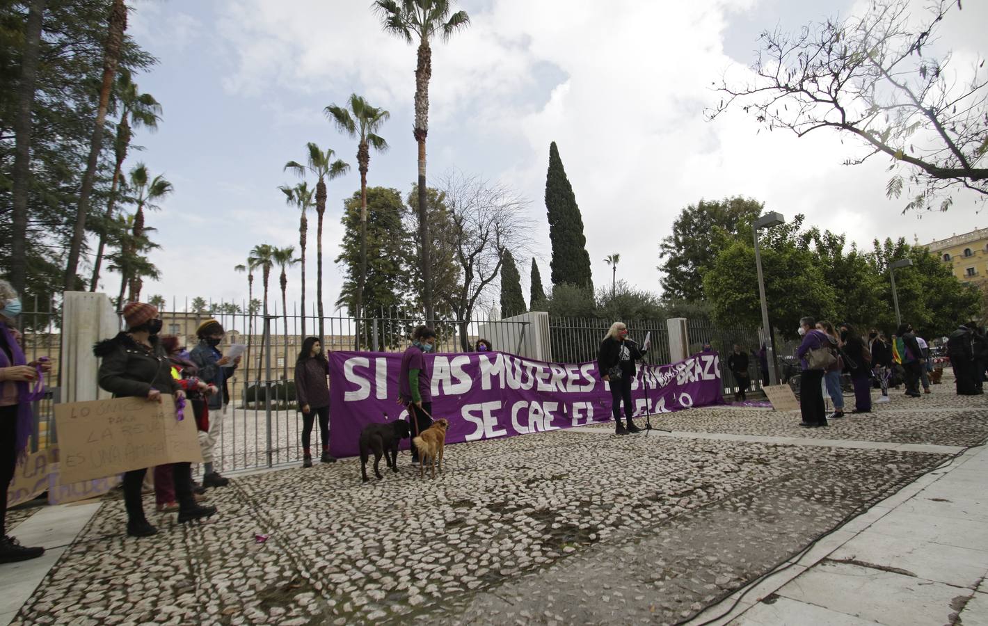 Manifestación por el 8M a las puertas del Parlamento andaluz