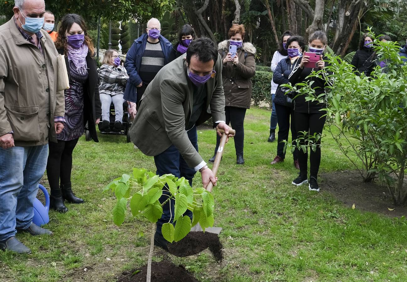 FOTOS: El 8-M, día de la mujer en Cádiz