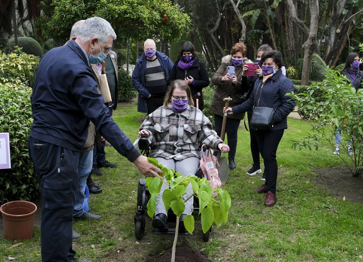 FOTOS: El 8-M, día de la mujer en Cádiz