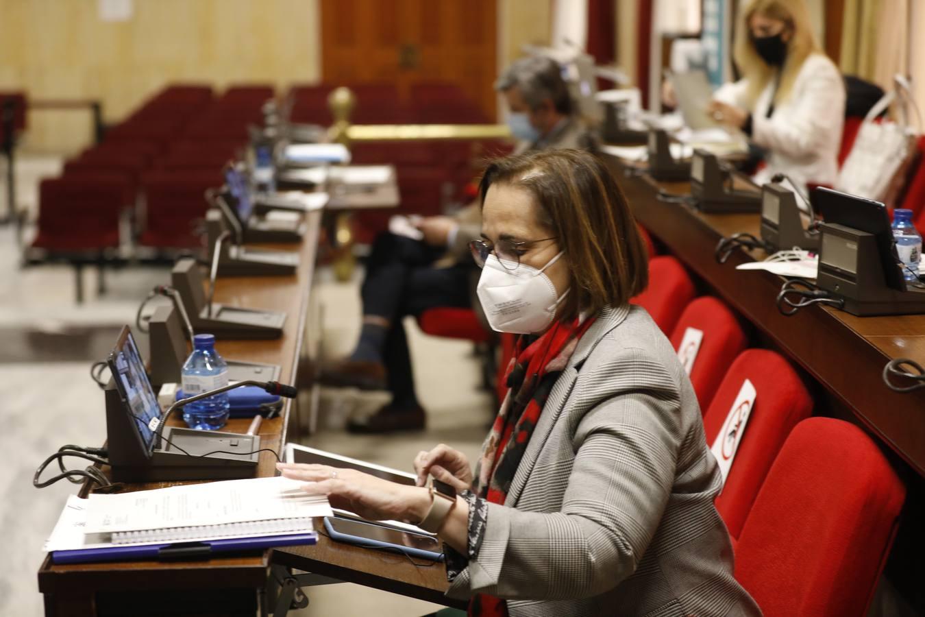 El Pleno de marzo en Córdoba, en imágenes