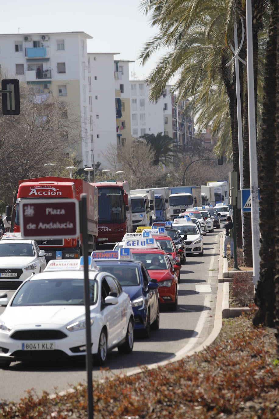 La protesta de las autoescuelas en Córdoba, en imágenes