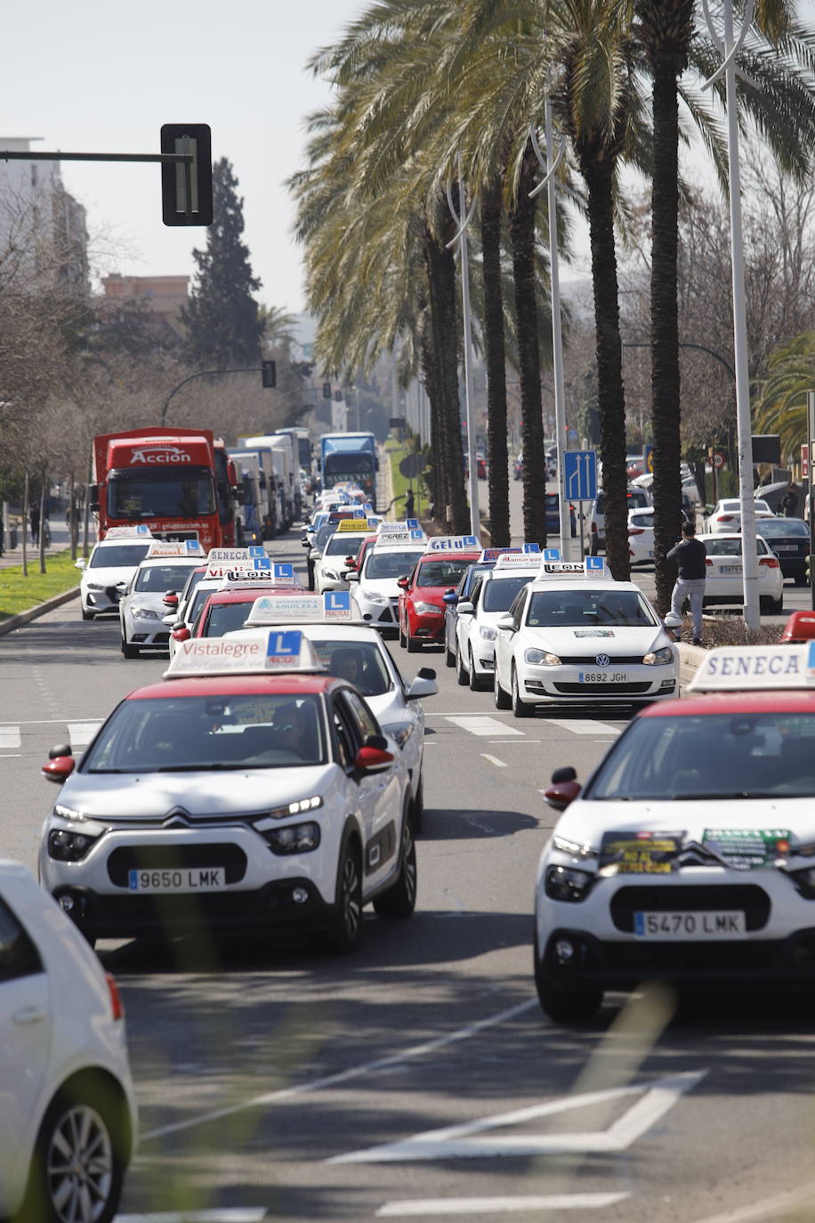 La protesta de las autoescuelas en Córdoba, en imágenes