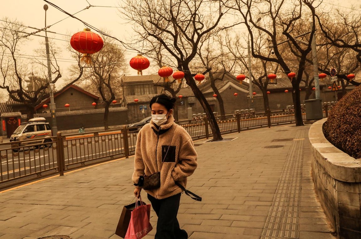 Una nube marrón se instala entre los pekineses. 