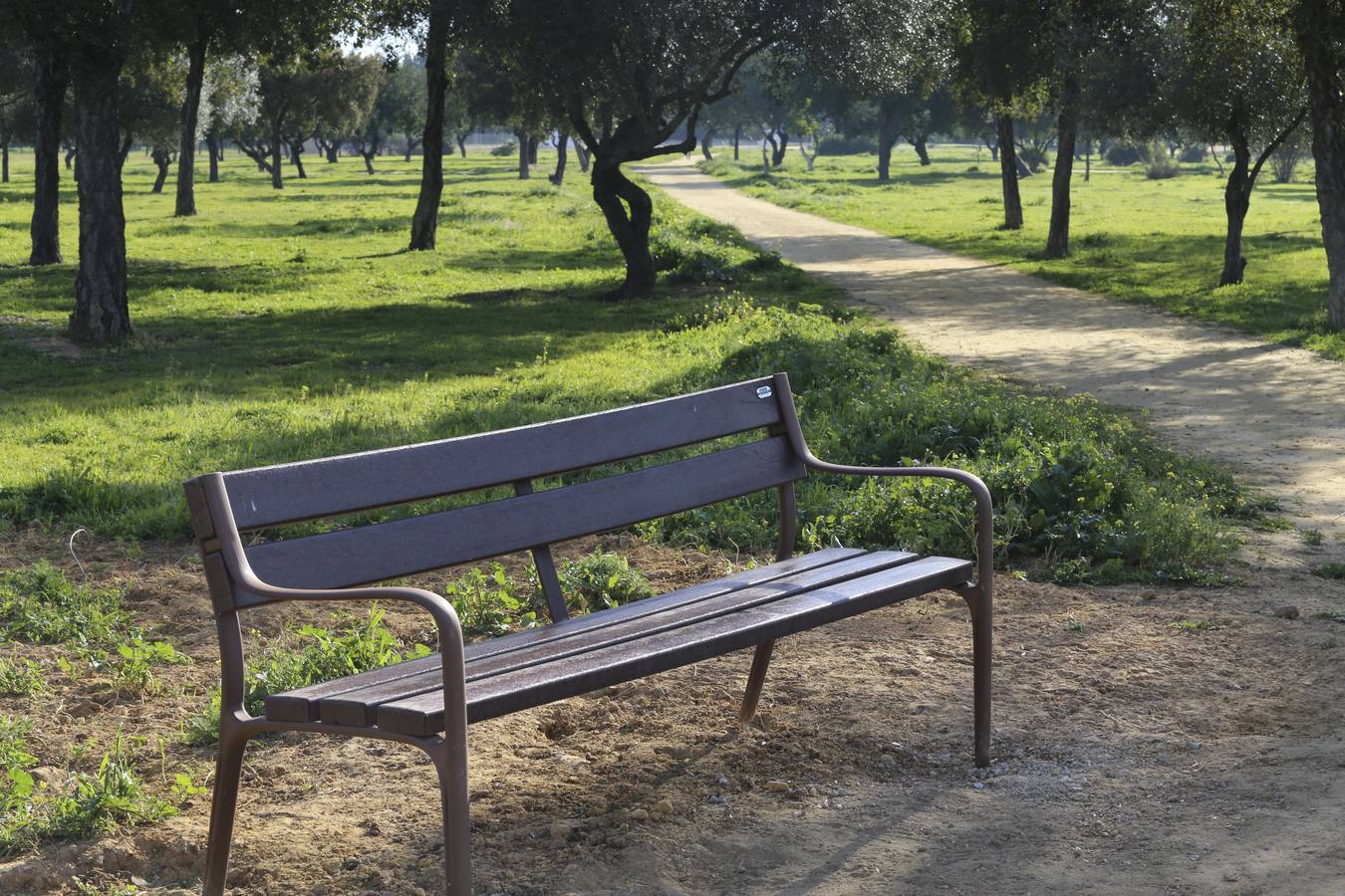 Fotogalería: Mejoras en el Parque de Torreblanca