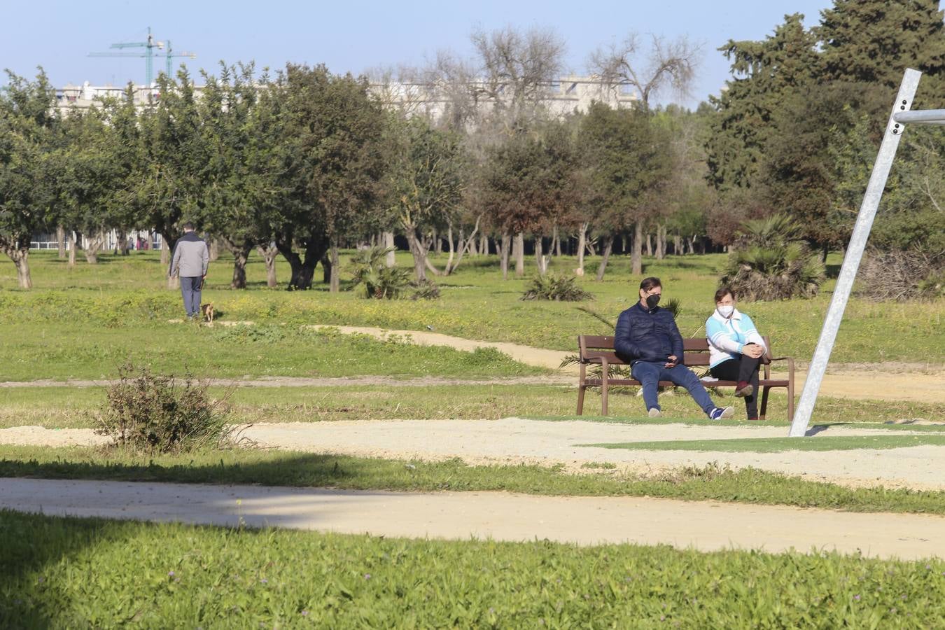 Fotogalería: Mejoras en el Parque de Torreblanca