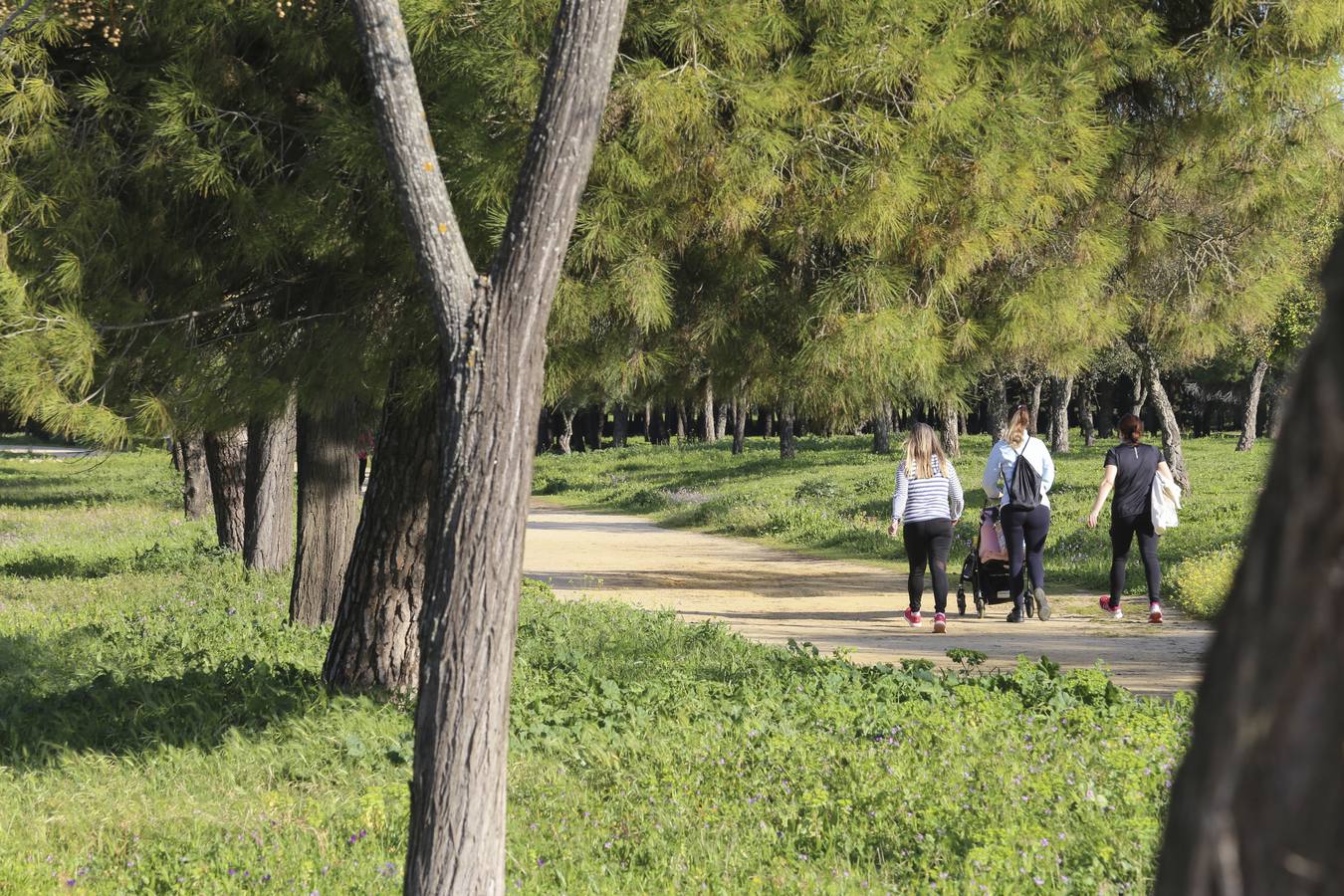 Fotogalería: Mejoras en el Parque de Torreblanca