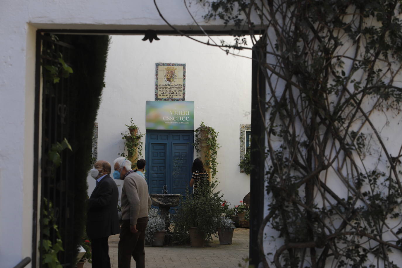 Las visitas gratuitas al Palacio de Viana, de Córdoba, en imágenes