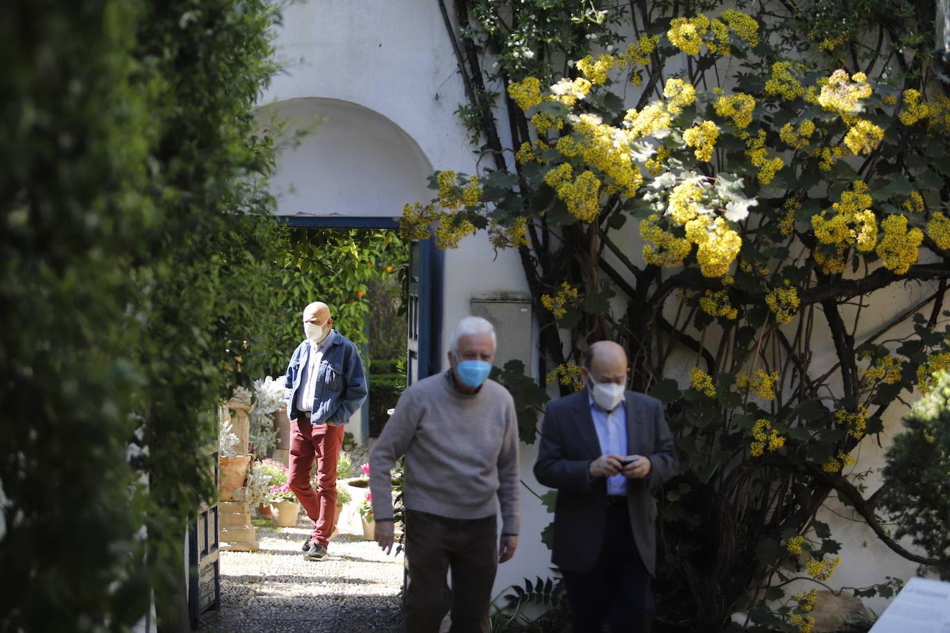 Las visitas gratuitas al Palacio de Viana, de Córdoba, en imágenes