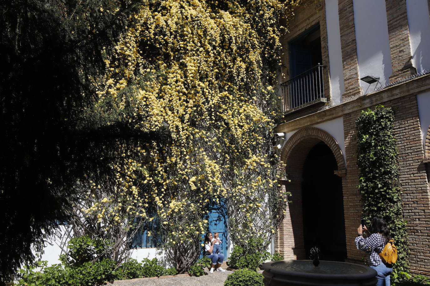 Las visitas gratuitas al Palacio de Viana, de Córdoba, en imágenes