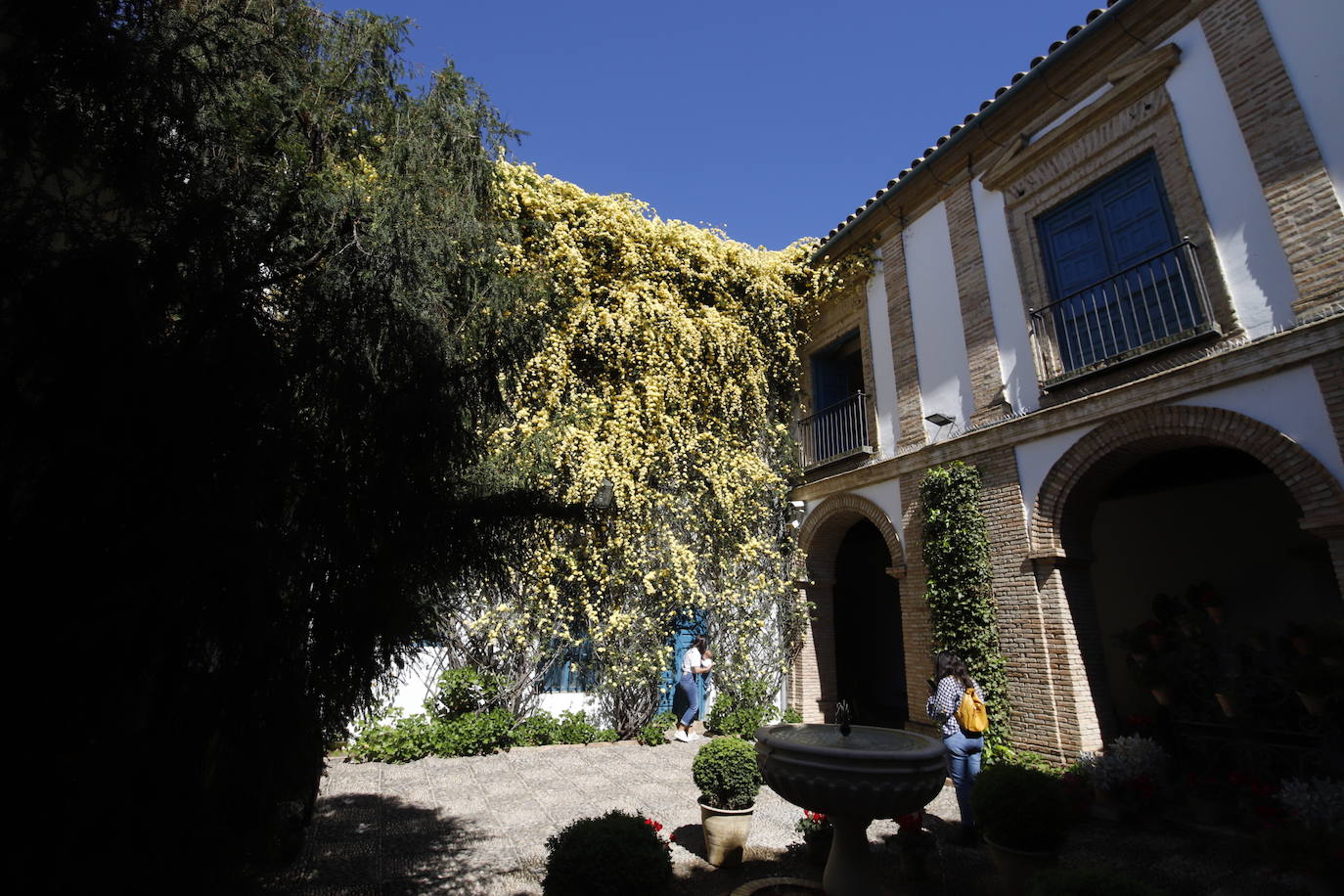 Las visitas gratuitas al Palacio de Viana, de Córdoba, en imágenes