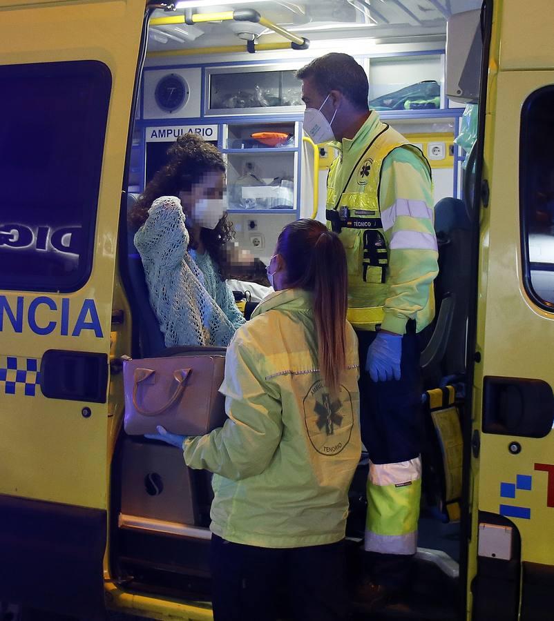 Tres mujeres hospitalizadas por la caída de una rama del ficus centenario de San Jacinto