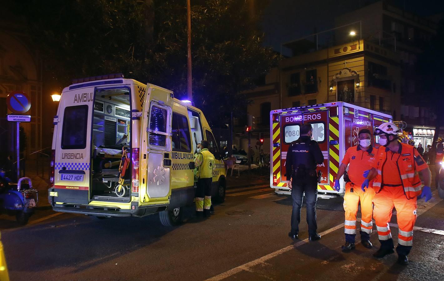 Tres mujeres hospitalizadas por la caída de una rama del ficus centenario de San Jacinto