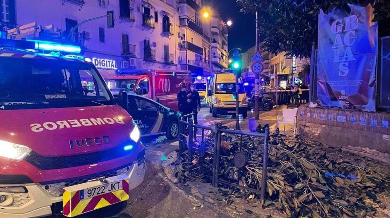 Tres mujeres hospitalizadas por la caída de una rama del ficus centenario de San Jacinto