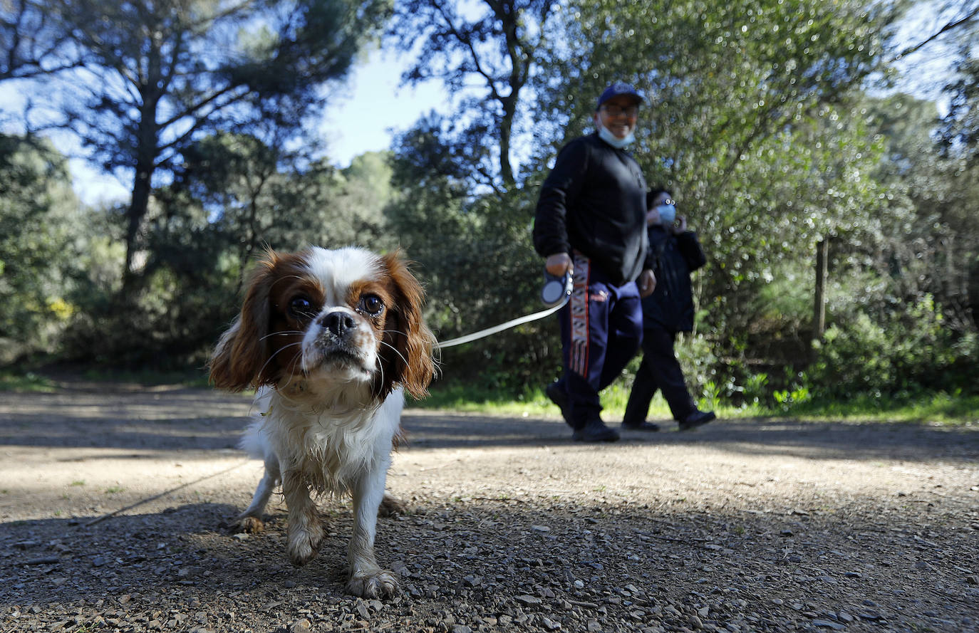 El ambiente de la Sierra de Córdoba en fin de semana, en imágenes