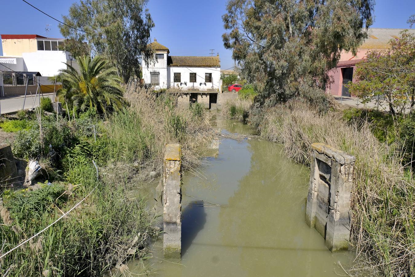 Fotogalería: Los restos de las Marismas inglesas en Sevilla