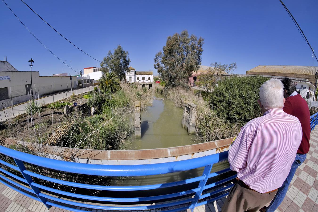 Fotogalería: Los restos de las Marismas inglesas en Sevilla