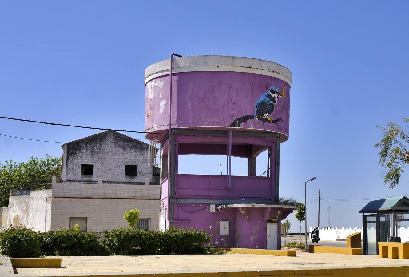 Fotogalería: Los restos de las Marismas inglesas en Sevilla