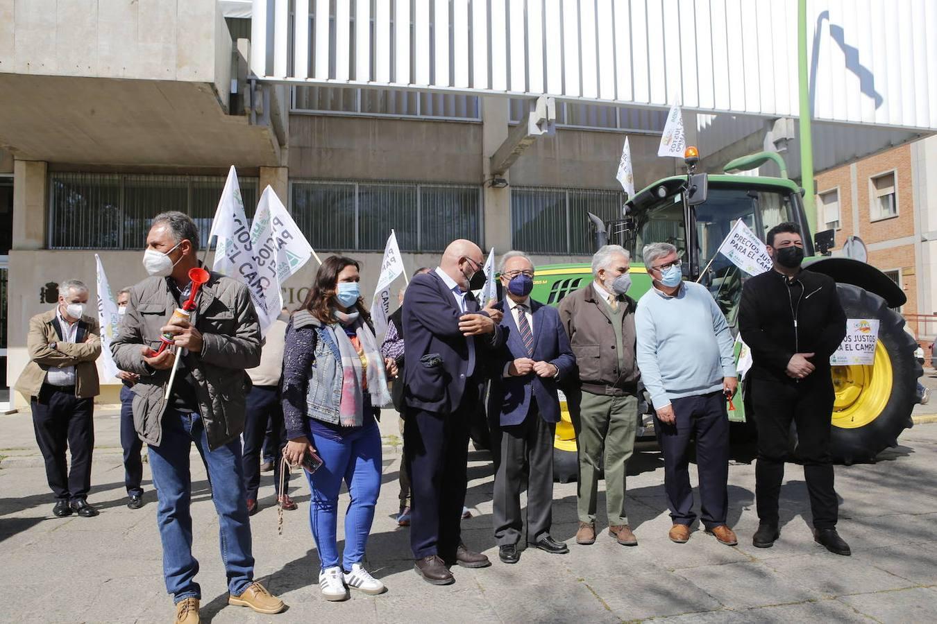 La protesta de los agricultores contra el Gobierno en Córdoba, en imágenes