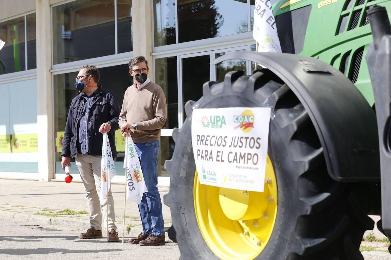 La protesta de los agricultores contra el Gobierno en Córdoba, en imágenes