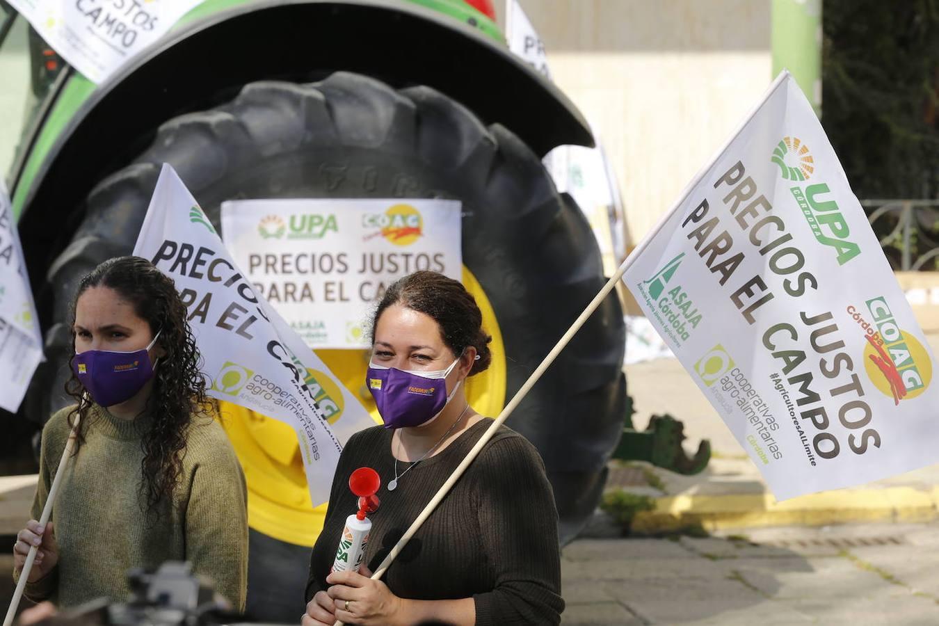 La protesta de los agricultores contra el Gobierno en Córdoba, en imágenes