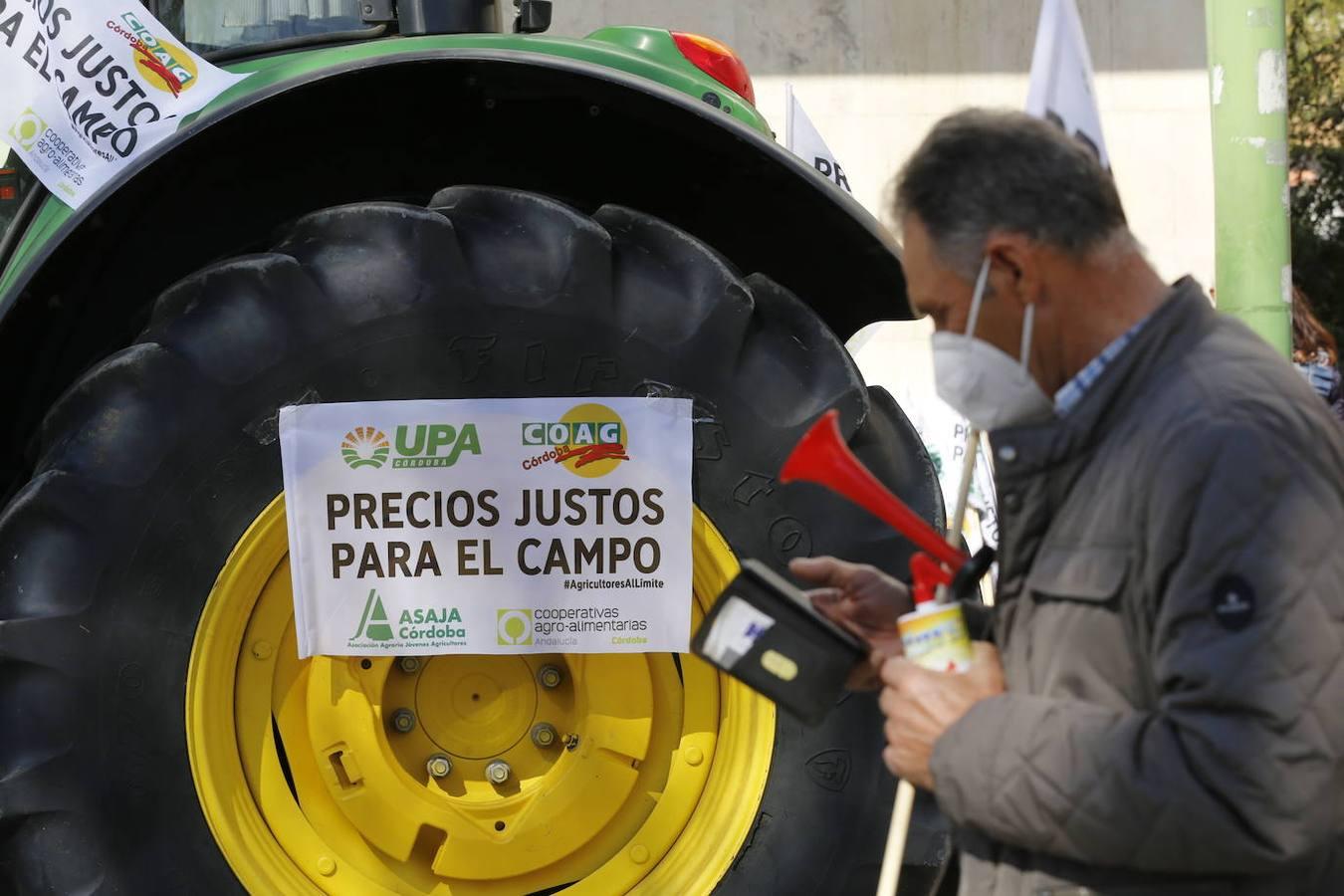 La protesta de los agricultores contra el Gobierno en Córdoba, en imágenes