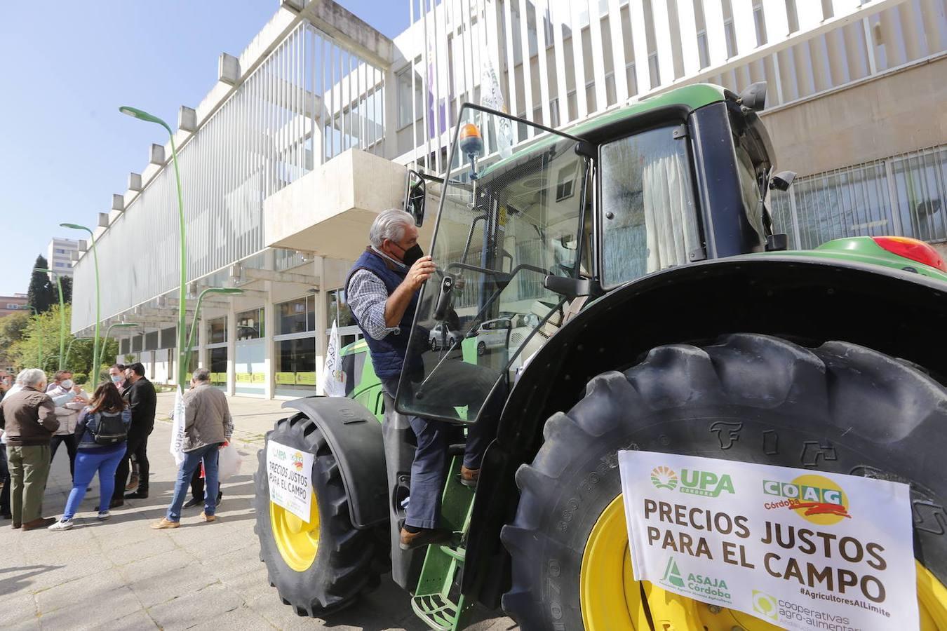 La protesta de los agricultores contra el Gobierno en Córdoba, en imágenes